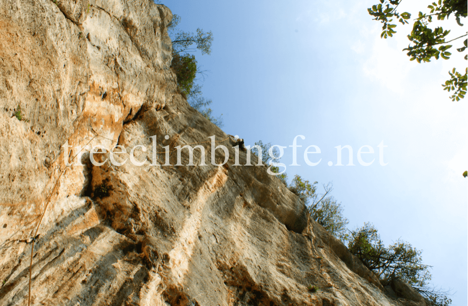 Tree Climbing Ferrara – Arboricoltura Perelli: arrampicata in parete